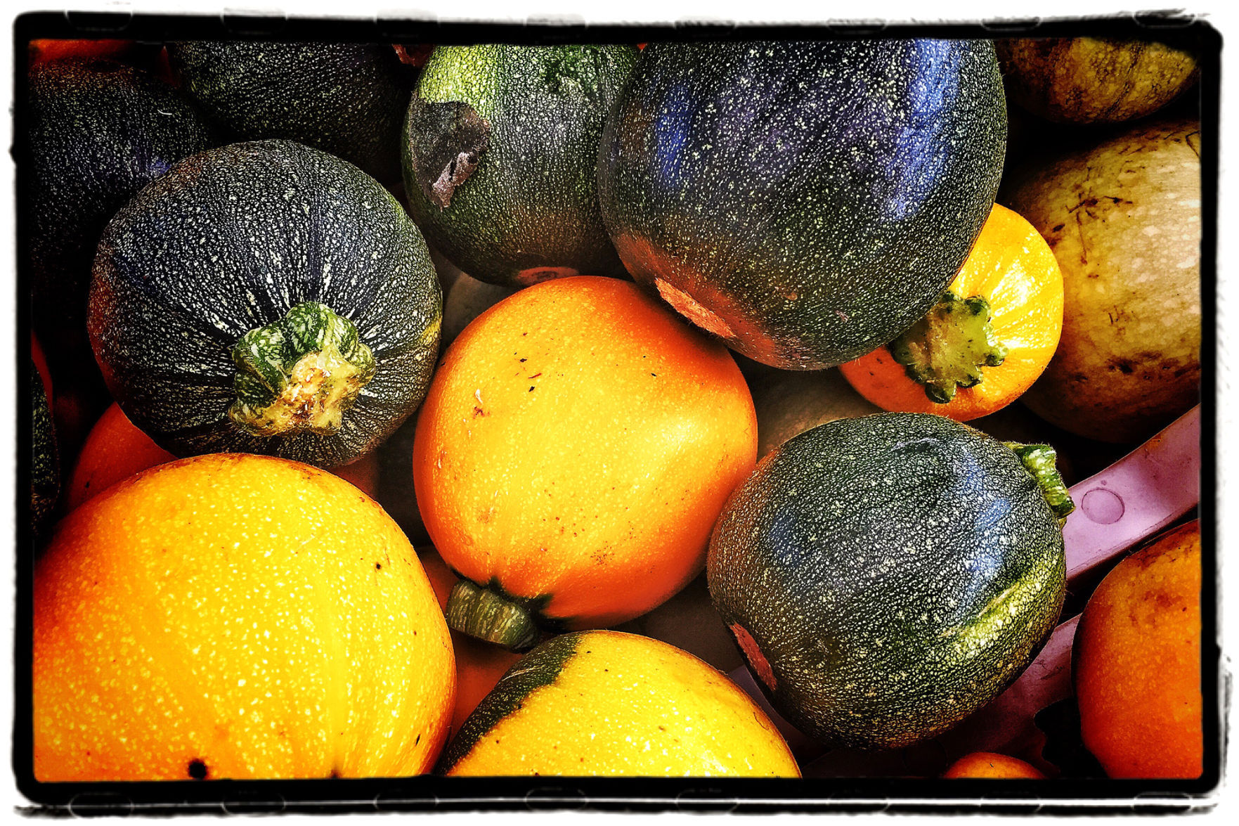 Farmers Market